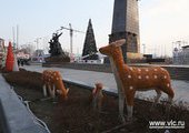 Зимний городок на центральной площади Владивостока приобретает завершающий вид