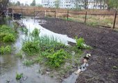 В Лесозаводске частный сектор затопило канализационными стоками от новостроек