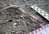 В Приморье найдено пять новых памятников археологии