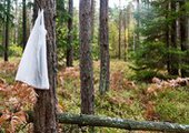 В Приморье 78-летняя женщина неделю блуждала в лесу, и сама вышла к людям