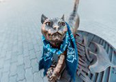 Во Владивостоке кошку Матроску увековечили в бронзе