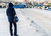 В Партизанске автобусники бастуют против дешевых билетов за проезд