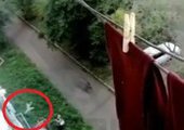 В Арсеньеве прохожие поймали годовалого ребенка, выпавшего из окна 5 этажа
