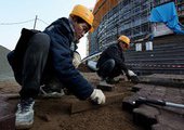 Несколько тысяч строителей из КНДР должны покинуть Приморский край