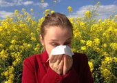 Понятие аллергии, механизмы возникновения