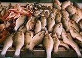 В поставляемой на прилавки Приморья рыбо- и морепродукции превышений радиационного фона нет