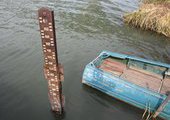 В Приморье дожди вызвали поднятие уровня воды в реках до трех метров