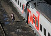 В Спасске-Дальнем пенсионерки остановили поезд, чтобы покормить собак