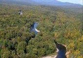 За спасение "Русской Амазонки" в Приморье подписалось уже 10 тысяч человек