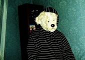 "Грабитель-медвежонок" в Приморье похитил 70 тысяч рублей