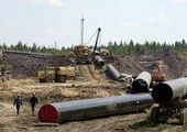 Строители газопровода в Приморье загубили землю