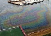 В Амурском заливе - очередная экологическая катастрофа