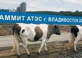 Коммунисты до сих пор сомневаются, будет ли саммит во Владивостоке