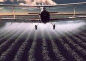 В приморских землях "зашкаливает" содержание пестицидов