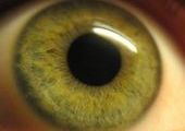 Стало возможным изменение цвета глаз без использования контактных линз