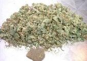 180 килограмм марихуаны изъято наркополицейскими в Черниговском районе Приморья