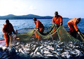 Рыбаки Дальнего Востока взывают о помощи