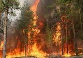 Новая техника для борьбы с пожарами поступила в Приморье