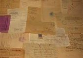 Во Владивостоке на улицу выброшены сотни документов с персональными данными приморцев