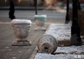 Сквер на Дальзаводе подвергся нападению вандалов