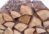 Черные лесорубы оставили жителей Пожарского района Приморья зимой без дров