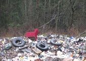 Почти все районы Приморья завалены мусором