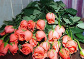 К 8 Марта в Приморье расцвели розы