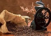 Умеренность в употреблении – формула пользы кофе