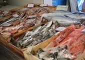 Во Владивостоке построят новые рыбные рынки
