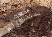 Археологи нашли в Приморье фрагменты древних памятников