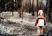 13-летний мальчик сумел в одиночку выжить в лесу