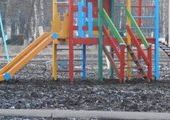 Под покровом ночи во Владивостоке уничтожили деревья на детской площадке