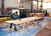 Дальневосточный центр глубокой переработки древесины будет ориентирован на Японию