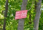 Предупреждающие о минах таблички появились в «Снеговой пади» во Владивостоке