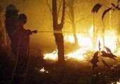Трагедия в Тыве: 8 десантников погибли при тушении лесного пожара