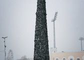 Необычные елки украшают Владивосток
