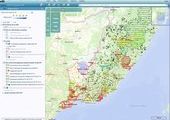 Карты лесов Дальнего Востока стали доступны через Интернет