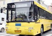 На остров Русский будут ходить 50 рейсовых автобусов