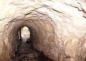 Новые находки палеонтологов в Дальнегорских пещерах