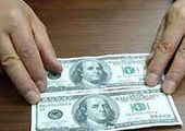 Двое студентов наладили выпуск американских долларов в Приморье