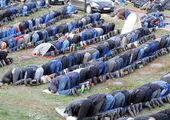 В Приморье молитвы мусульман приравняли к митингам