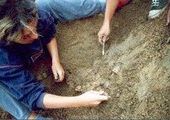 Российские и корейские археологи приступили к раскопкам древнего городища в Приморье