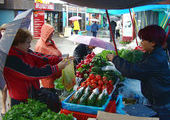 Где в Находке можно купить овощи местных производителей?