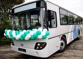 Новые корейские автобусы марки DAEWOO выйдут на городские маршруты в конце августа