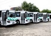Новые корейские автобусы марки DAEWOO выйдут на городские маршруты в конце августа