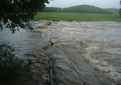 Эвакуация одного из сел в Приморье возможна из-за наводнения