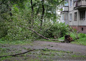 Супертайфун прошел стороной, жители Владивостока даже не успели испугаться