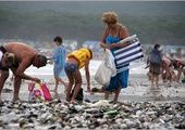 После тайфуна "Болавен" на пляж Шаморы выбросило десятки тонн морепродуктов