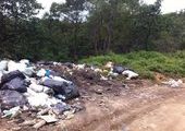 Морское побережье заповедника в Приморье завалили горами мусора "дикие" туристы