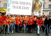 День Тигра отметят во Владивостоке